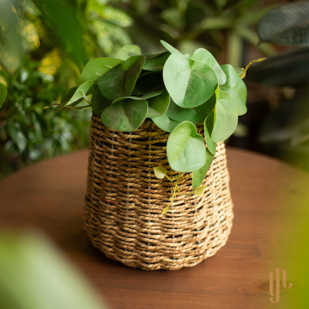 Handmade Twisted Jute Rope Planter in Light Brown