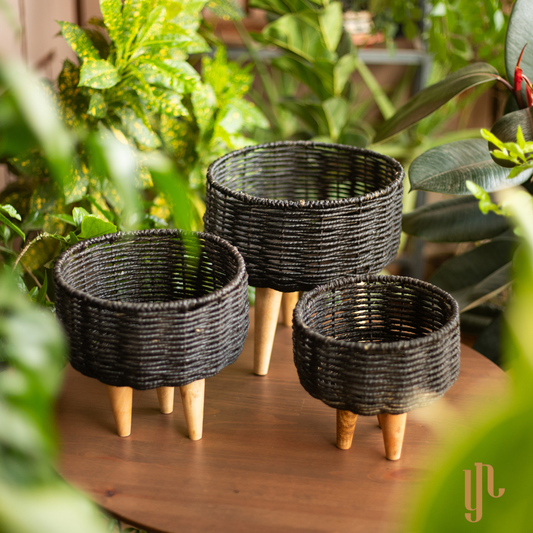 Handmade Twisted Jute Rope Planters in Black (Set of 3)